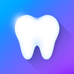 i-DENTify: Dental Anatomy