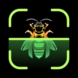 Insect Identifier | Insect Identifier