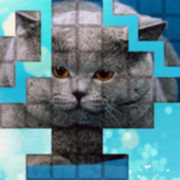 PicPu - Cat Picture Puzzle | PicPu - Cat Picture Puzzle