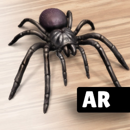 AR Spiders & Co: Scare friends | AR Spiders & Co: Scare friends